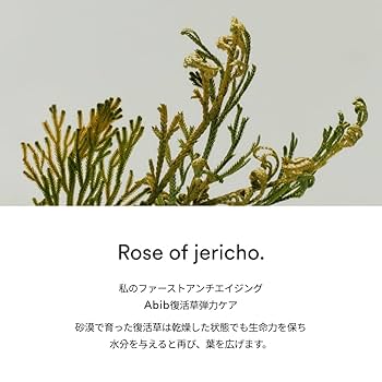 Amazon.co.jp: Abib コラーゲンアイクリーム復活草チューブ 30ml